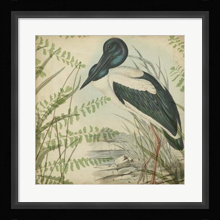 Framed Heron &amp; Ferns I Print