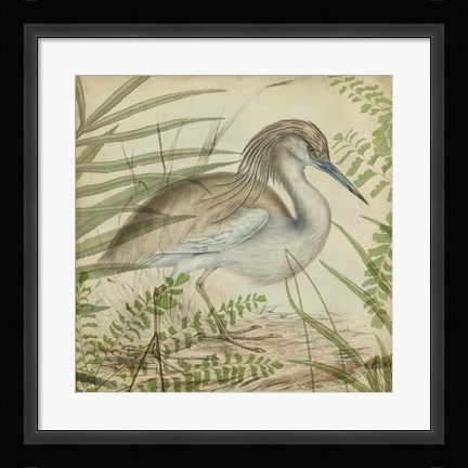 Framed Heron &amp; Ferns II Print