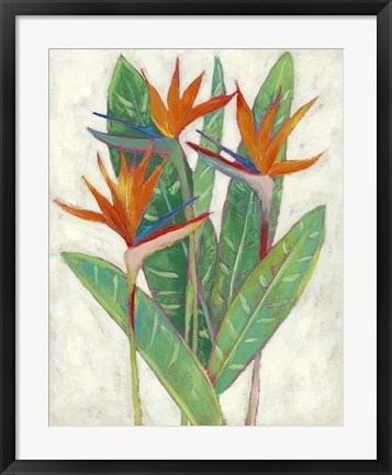 Framed Paradise Vacation II Print