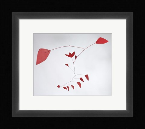 Framed Tulip, 1967 Print