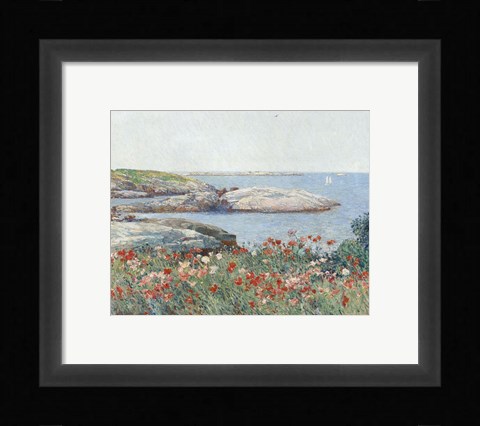 Framed Poppies, Isles of Shoals, 1891 Print