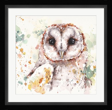 Framed Australian Barn Owl Print