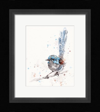 Framed Mischief in the Making (Variegated Fairy Wren) Print