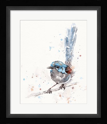 Framed Mischief in the Making (Variegated Fairy Wren) Print