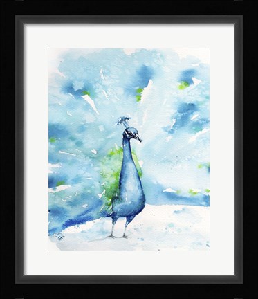 Framed Peacocking Around Print