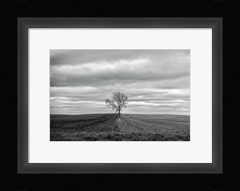 Framed Half Done Print