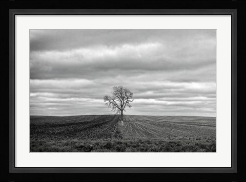 Framed Half Done Print