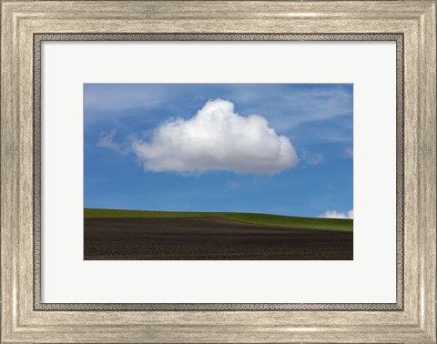 Framed Spring Cloud Print