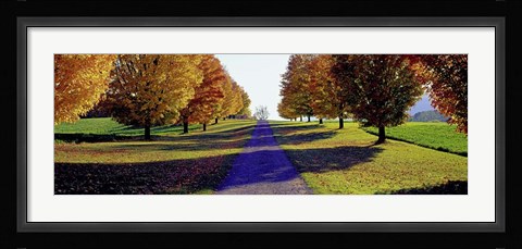 Framed Autumn Road, Storm King Mountain, New York Print