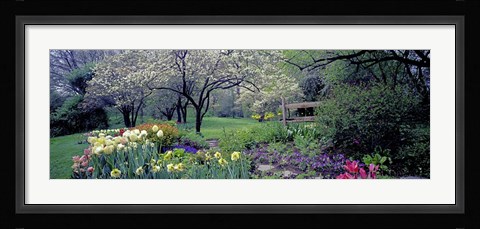 Framed Country garden, Old Westbury Gardens, Long Island Print