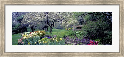 Framed Country garden, Old Westbury Gardens, Long Island Print