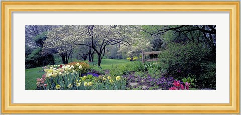 Framed Country garden, Old Westbury Gardens, Long Island Print