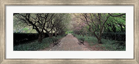 Framed Through Conservatory Garden, Central Park, NYC Print