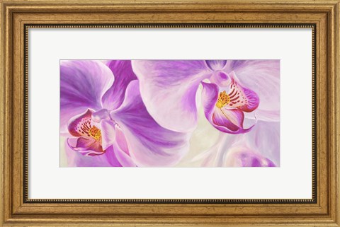 Framed Purple Orchids Print