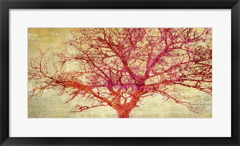 Framed Coral Tree Print