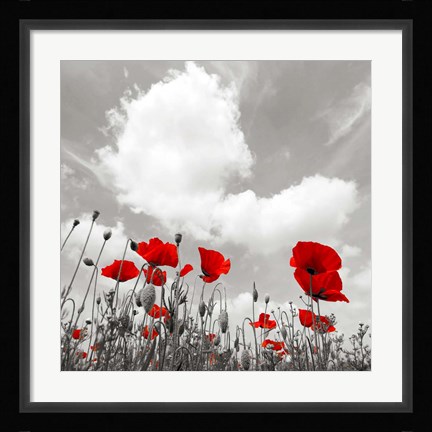 Framed Papaveri e Nuvole Print