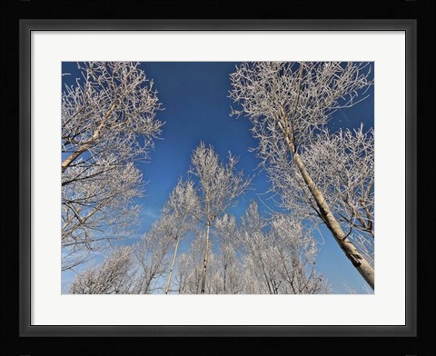 Framed Sottozero Print