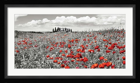 Framed Farm House with Cypresses and Poppies, Tuscany, Italy Print