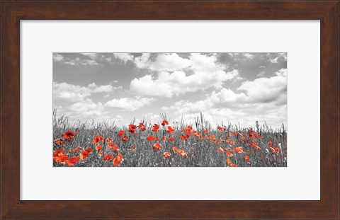 Framed Poppies in Corn Field, Bavaria, Germany Print