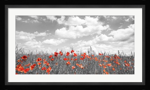 Framed Poppies in Corn Field, Bavaria, Germany Print