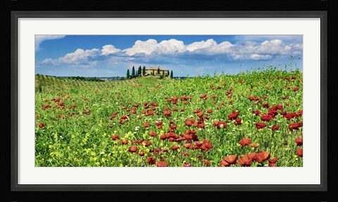 Framed Farm House with Cypresses and Poppies, Tuscany, Italy Print