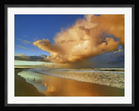 Framed Sunset On The Ocean, New South Wales, Australia Print