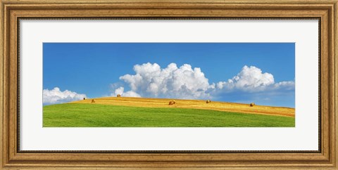 Framed Corn Field Harvested, Tuscany, Italy Print