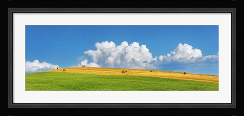 Framed Corn Field Harvested, Tuscany, Italy Print