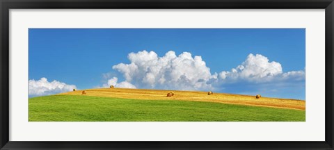 Framed Corn Field Harvested, Tuscany, Italy Print