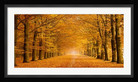 Framed Woods in Autumn Print