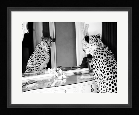 Framed Cheetah Looking in Mirror Print