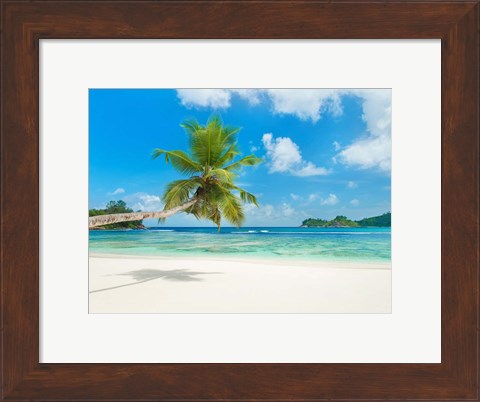 Framed Tropical beach, Seychelles (detail) Print