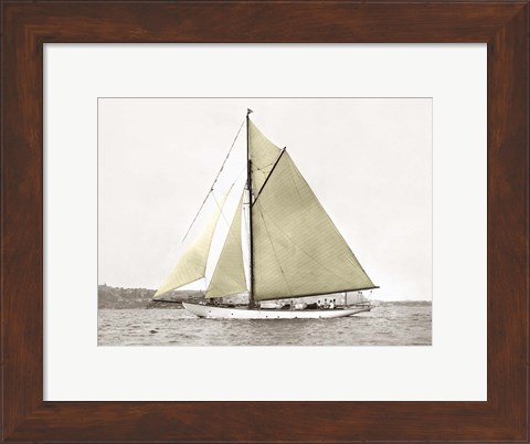 Framed Yacht on Sydney Harbour Print