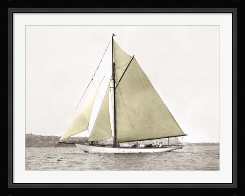 Framed Yacht on Sydney Harbour Print