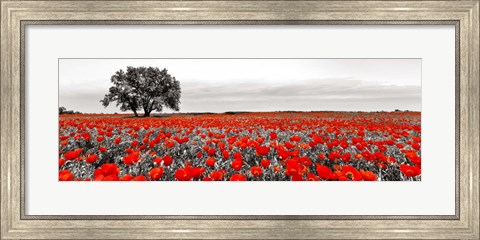Framed Tree in a Poppy Field 2 Print