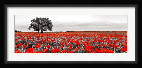 Framed Tree in a Poppy Field 2 Print