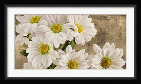 Framed Daisies in the Moonlight Print
