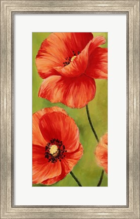 Framed Poppies in the Wind I Print