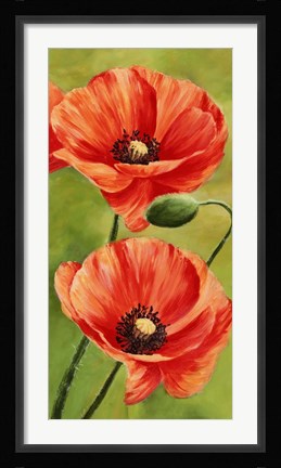Framed Poppies in the Wind II Print