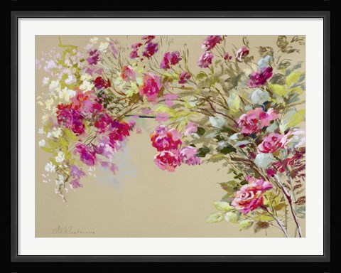 Framed Garden of the Rose II Print