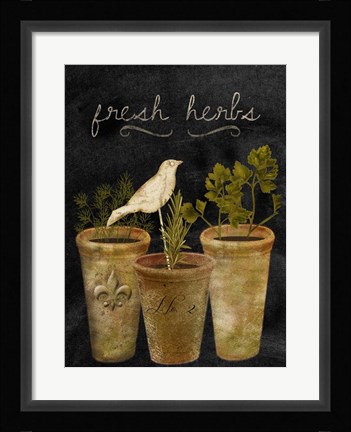Framed Fresh Herbs Print