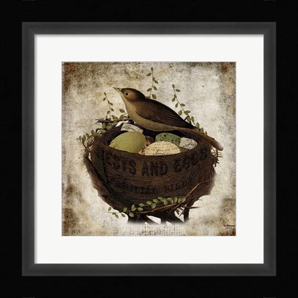 Framed Nest &amp; Eggs Print
