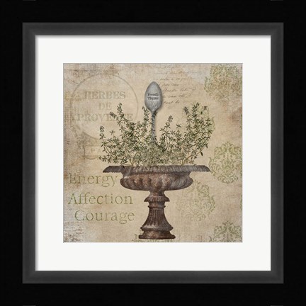 Framed French Thyme Print