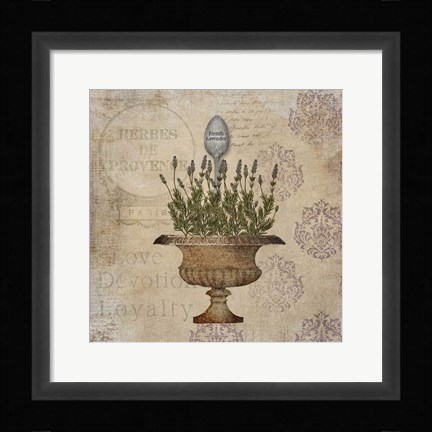 Framed French Lavender Print