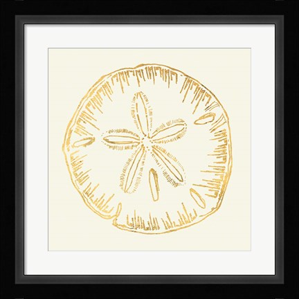 Framed Coastal Breeze Shell Sketches IV Print