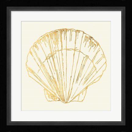 Framed Coastal Breeze Shell Sketches V Print