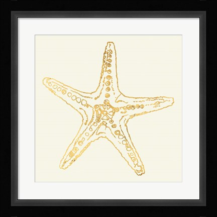 Framed Coastal Breeze Shell Sketches VI Print