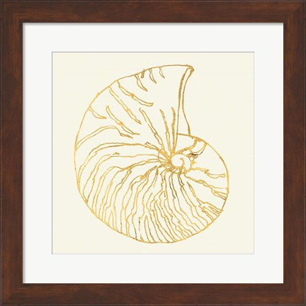 Framed Coastal Breeze Shell Sketches VII Print