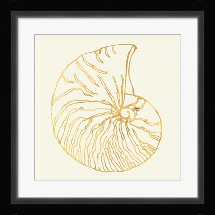 Framed Coastal Breeze Shell Sketches VII Print