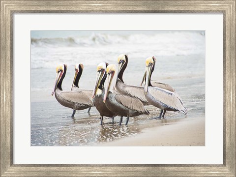 Framed Pacific Cool IV Print